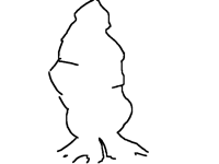 Cocoon