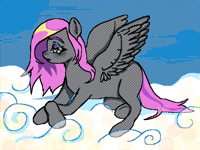Ponyyy