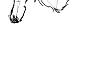 *Pow* step 1