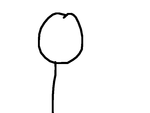 Can I use your profile Pic?