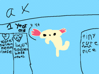 New oc