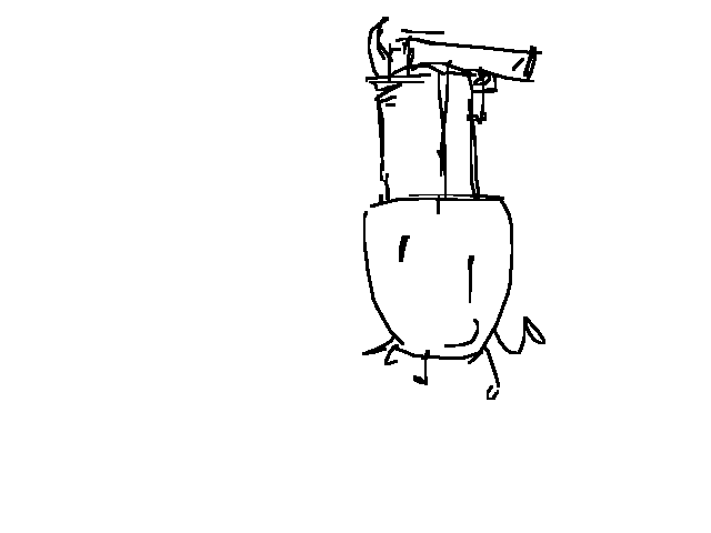 holster