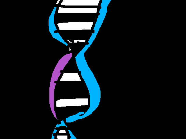 DNA