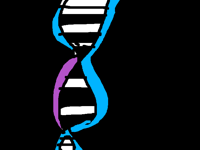 DNA