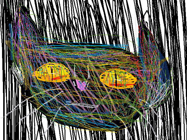 bru its cat