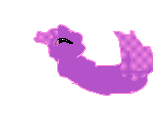 Floofy purply