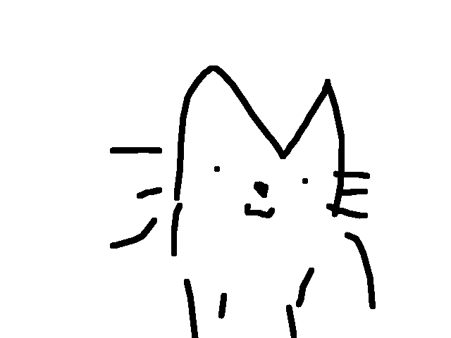 Guess what will first comment say? CORRECT CAT!