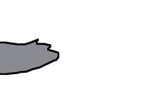 Wolf tail