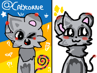 @catycorne