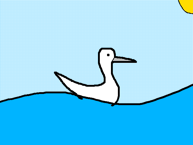 Seagull
