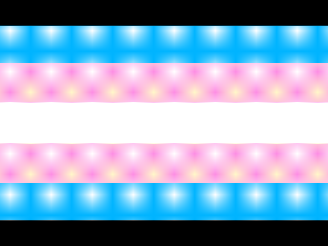 Happy Trans Visibility day