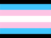 Happy Trans Visibility day