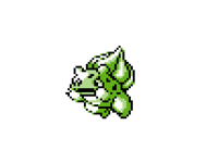 Bulbasaur and Squirtle