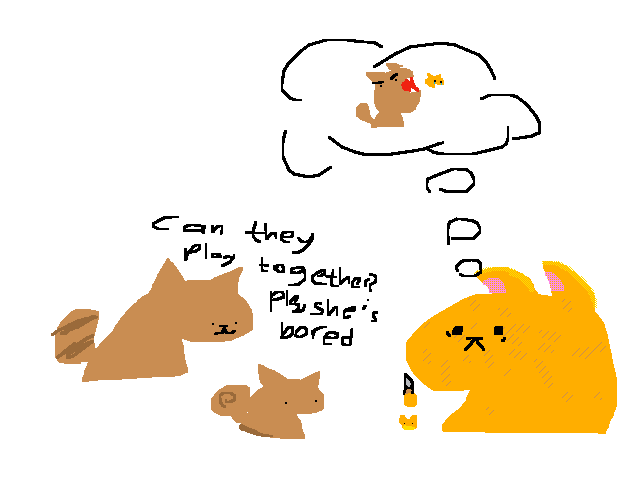 @dorime what actually happened