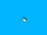 Going into the forest