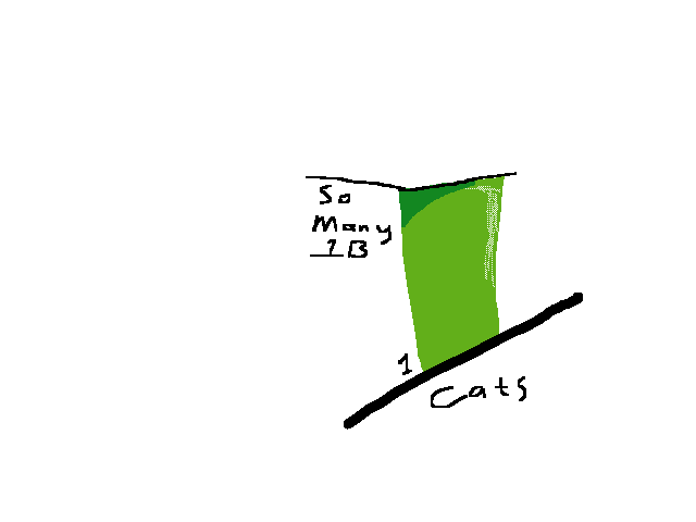 Cats higher than so many