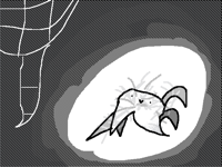 Annoying spider @annoyingdog