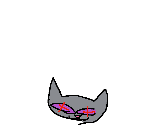 The cats are gone