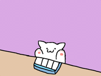 Bongo cat