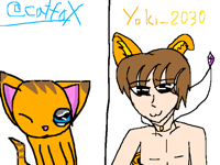 Orange cat DTYS