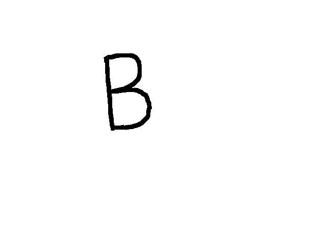 B=bird