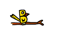 B=bird