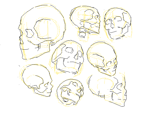 pers practice(kinda) w skulls