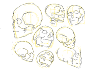 pers practice(kinda) w skulls