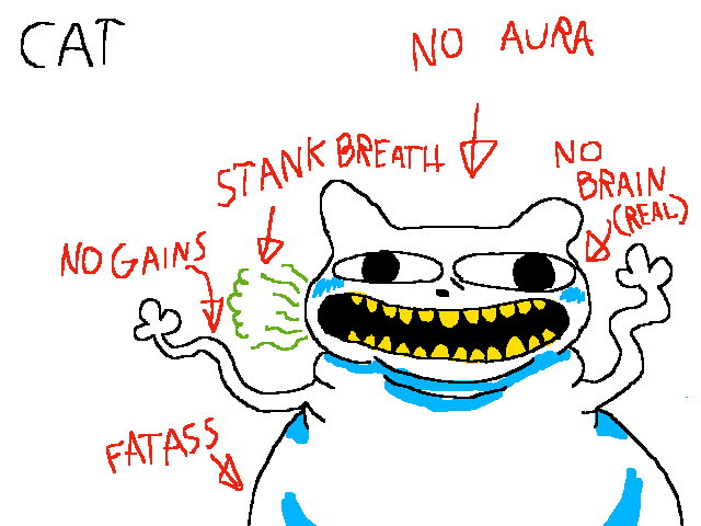 Why dogs are better than cats