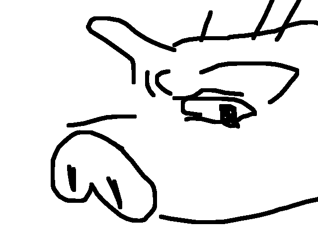 I fucking love pigs