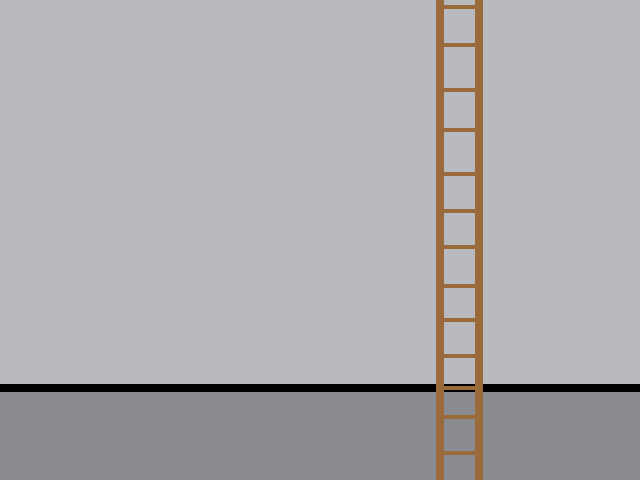 Ladder
