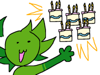 FOLIO BDAY YAYYYY