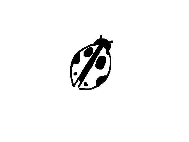 Ladybug
