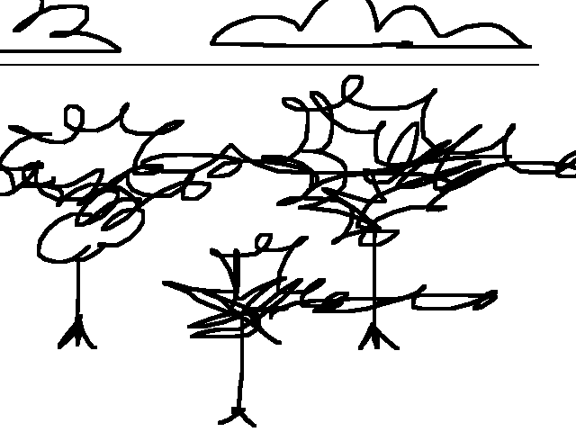 Tree and sky