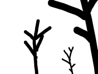 Landsacpw