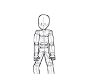 My 1st anatomy