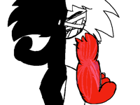 Absolute Shin