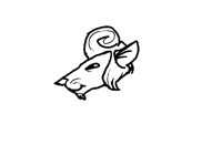 man rat