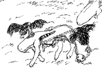 a lose but a win for all