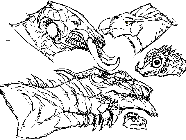 release the dragons