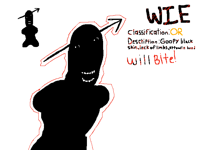 WIE certified anomaly classification