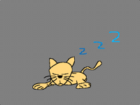 look at this cute lil cat