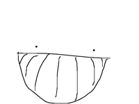this stupid face I drew