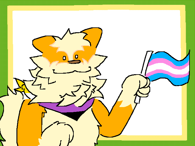 Transgender euphoria