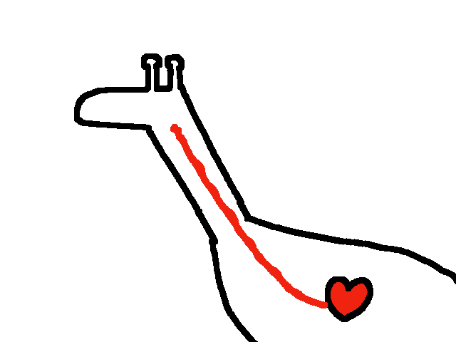 Giraffe Heart
