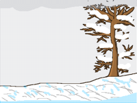 It’s snowing outside my house!