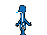 Digestive System