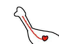 Dinosaur Heart