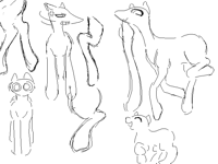 dump 🌠🛌 and commonsOcs