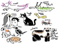 animals #2